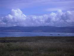 clouds - water - sky - grass